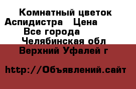 Комнатный цветок Аспидистра › Цена ­ 150 - Все города  »    . Челябинская обл.,Верхний Уфалей г.